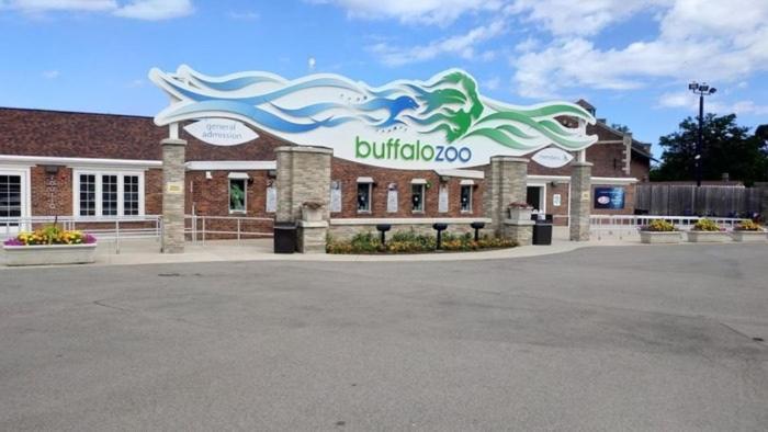 Welcome To Our Cozy Krib Buffalo Dış mekan fotoğraf